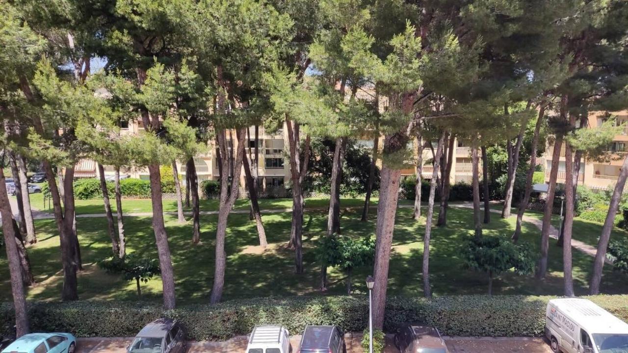 Bel Appartement Avec Piscine Proche Des Plages Six-Fours-les-Plages Buitenkant foto