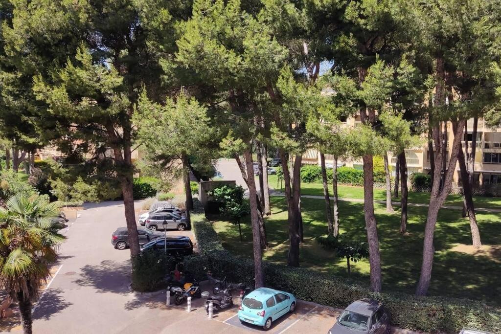 Bel Appartement Avec Piscine Proche Des Plages Six-Fours-les-Plages Buitenkant foto