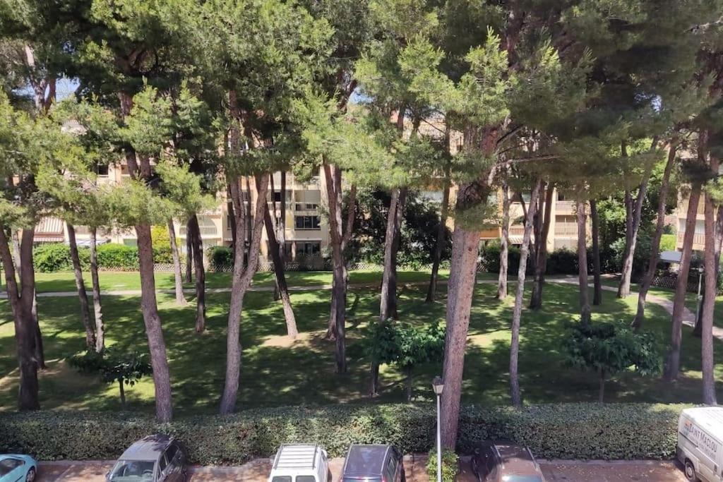 Bel Appartement Avec Piscine Proche Des Plages Six-Fours-les-Plages Buitenkant foto